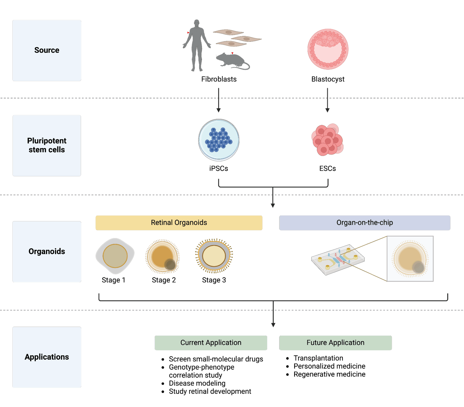 Scalable and Consistent Manufacturing