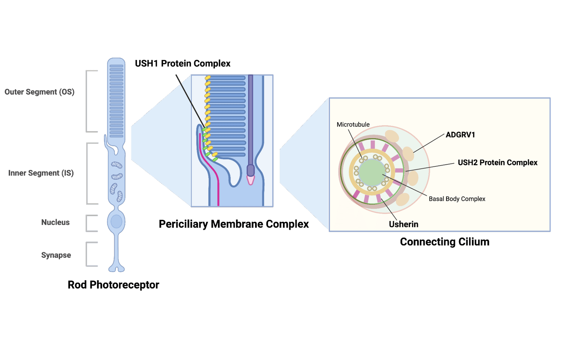 Customizable Payload Capacity
